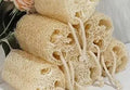 Small Size LOOFAH Size