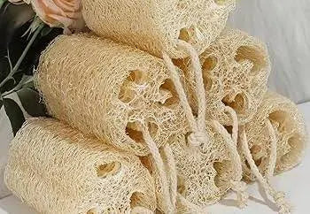 Small Size LOOFAH Size
